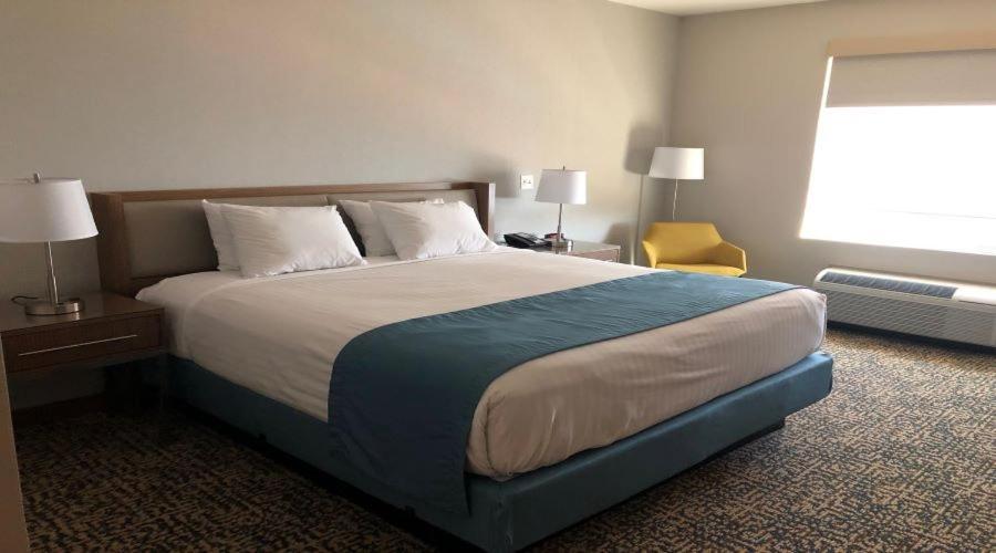 Havasu Landing Resort And Casino Havasu Lake 外观 照片