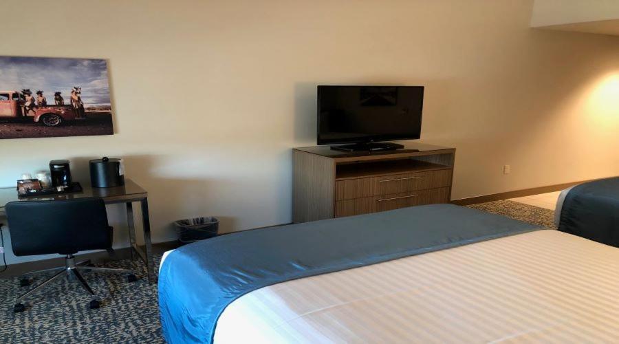 Havasu Landing Resort And Casino Havasu Lake 外观 照片