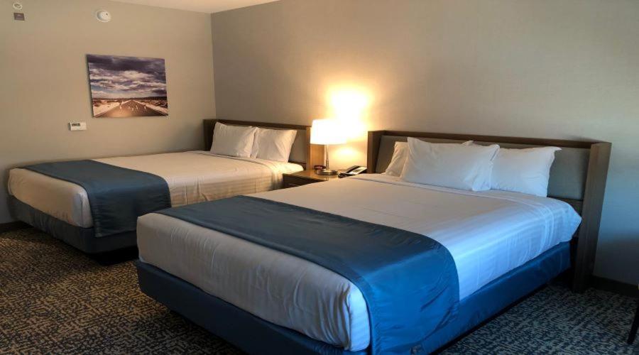 Havasu Landing Resort And Casino Havasu Lake 外观 照片